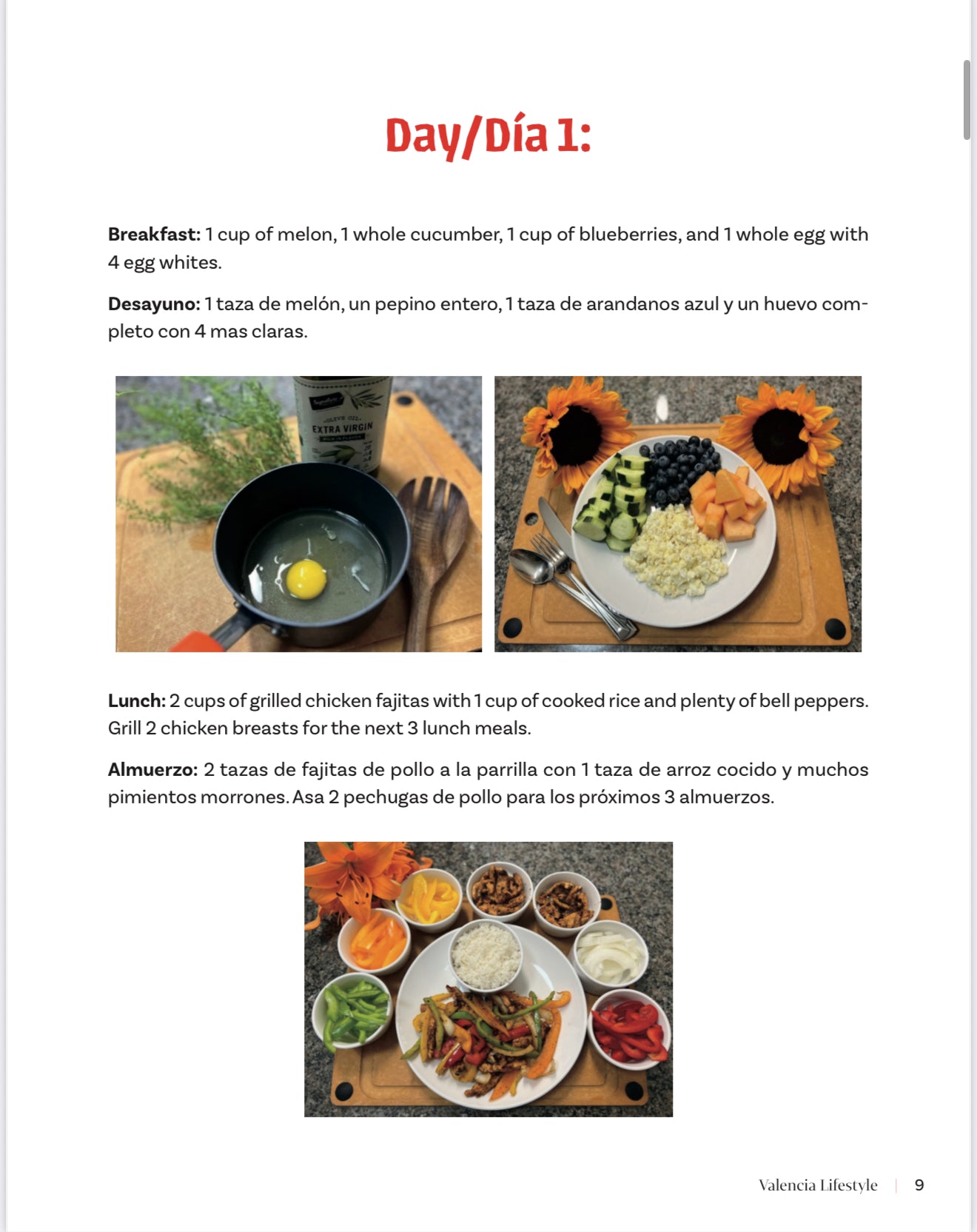 DIGITAL Valencia Lifestyle/Diet Book