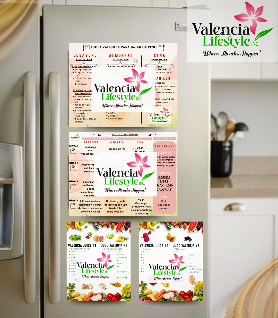 ( Presale/ Preventa ) COMBO: 4 Bilingual Magnets/Imanes (New Weight Loss Diet and Juice Recipes)
