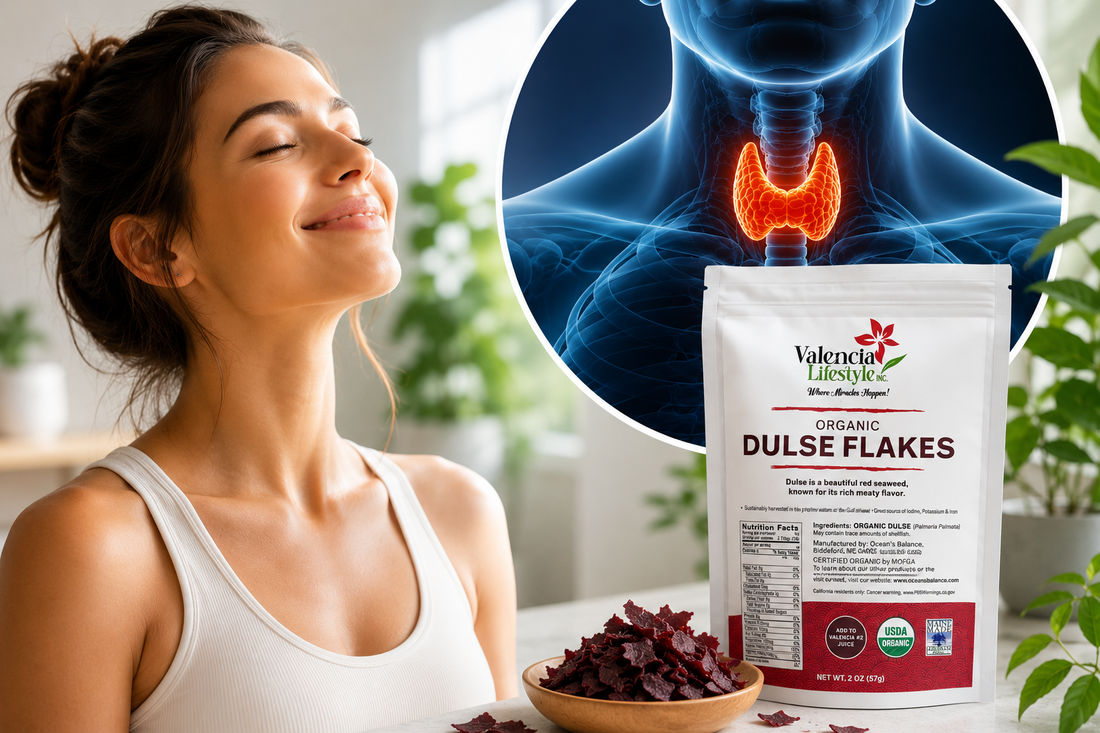 Alga Dulse: Beneficios y su Función en el Jugo Valencia #2 | Dulse Seaweed: Benefits and Its Role in Valencia Juice #2